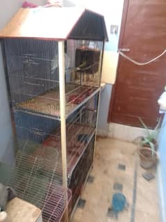 love birds cage. and lovebird and dove