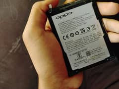 oppo
