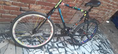phoenix cycle