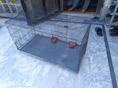 Birds cage
