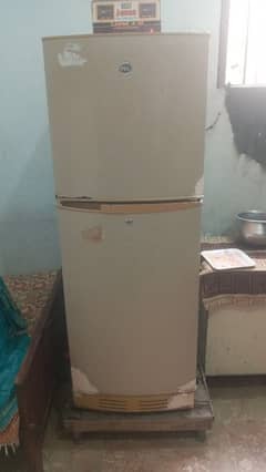 PEL
