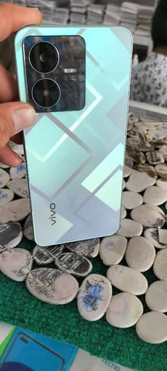 vivo