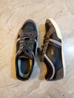 Lacoste Shoes