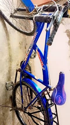 Mountain bike