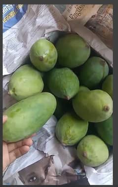 Sindri Mango Available 2000 10KG