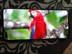 ONEPLUS NORD 5G 12+7GB RAM, 256GB