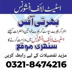 Sale representative