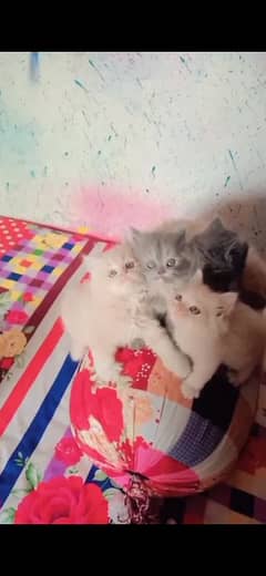 triple