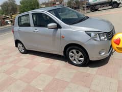 Suzuki cultus