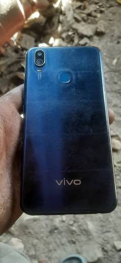 vivo