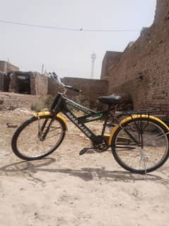 Bicycle for sale