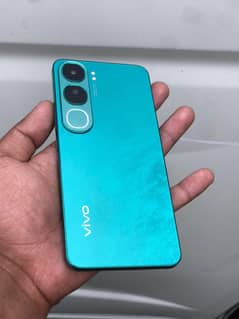 vivo