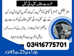 Data Entry Job / Assignment Job / Typing job / Part Time Full Time Job