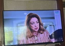 Ecostar tv 65 inches