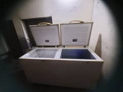 Waves Double Door Freezer