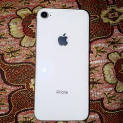 daniyal