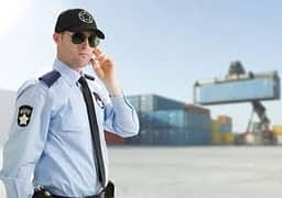 Lady security officer (LSO)