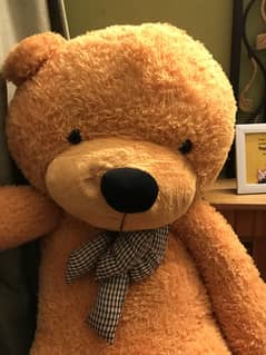 Teddy Bear For sale
