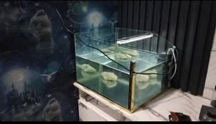 Aquarium > Read add