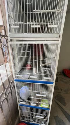 4 portions cage for sale
