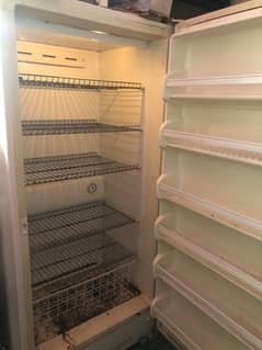 Kelvinator