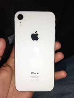 iphonxr