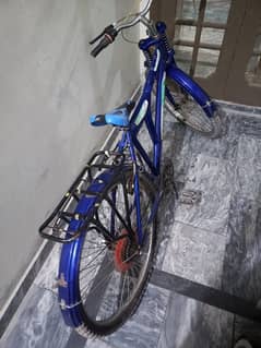 Cycle