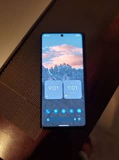 Google Pixel 6 Pro Dual Sim PTA
