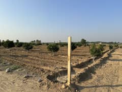 450 Kanal Land For Farm House Chakwal For Sale Punjab