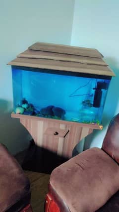 fish