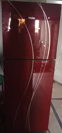 hair  Refrigerator