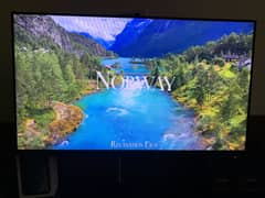 DELL P2419H 24 inch borderless monitor