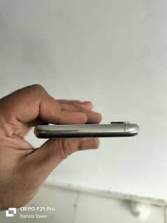 Xs