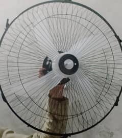 Fans