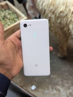 google pixel 3 xl
