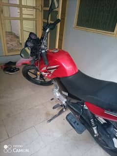 YBR