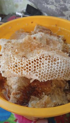 Honey