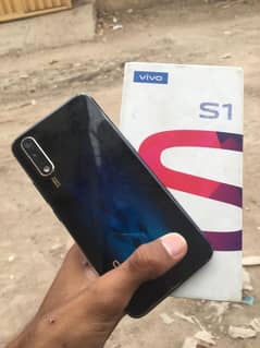 vivo