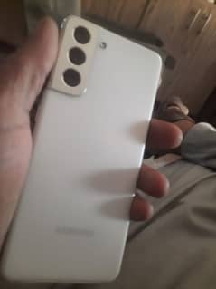 samsung s31 pta aprvd