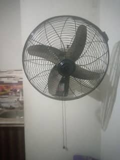 Royal Elegant Bracket Fans