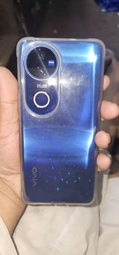 vivo