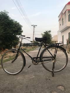 new cycle ha