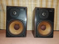 Pioneer
