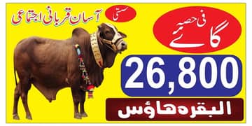 ijtamai qurbani 2025 | aasaan Qurbani | wacha | Cow | Bachra | qurbani