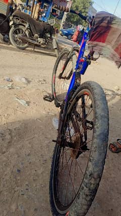 in cheap price