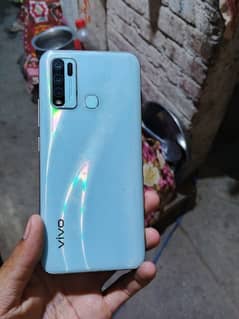 vivo