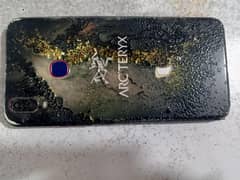 vivo