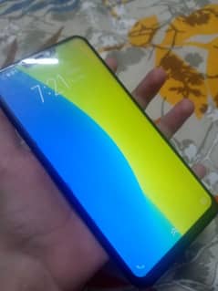 vivo