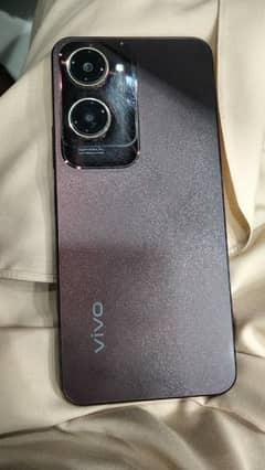 VIVO