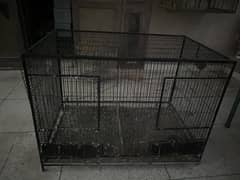Breeder cage for parrots and hens